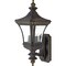 Quoizel Devon Outdoor Wall Lantern DE8959IB - alternate 1